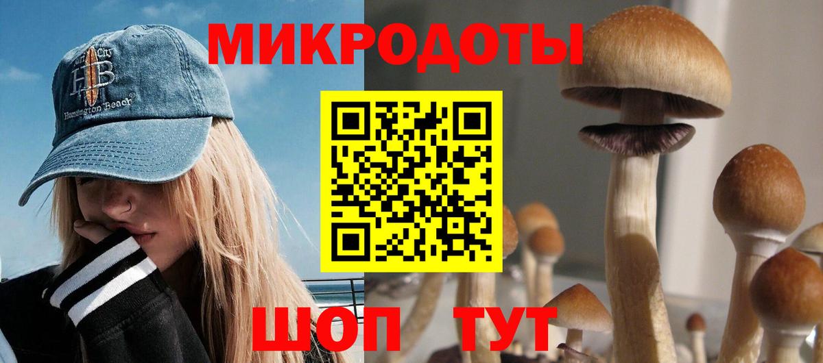 Псилоцибиновые грибы прущие грибы  Псилоцибиновые грибы мицелий  Вход с VPN  Ростов Великий 