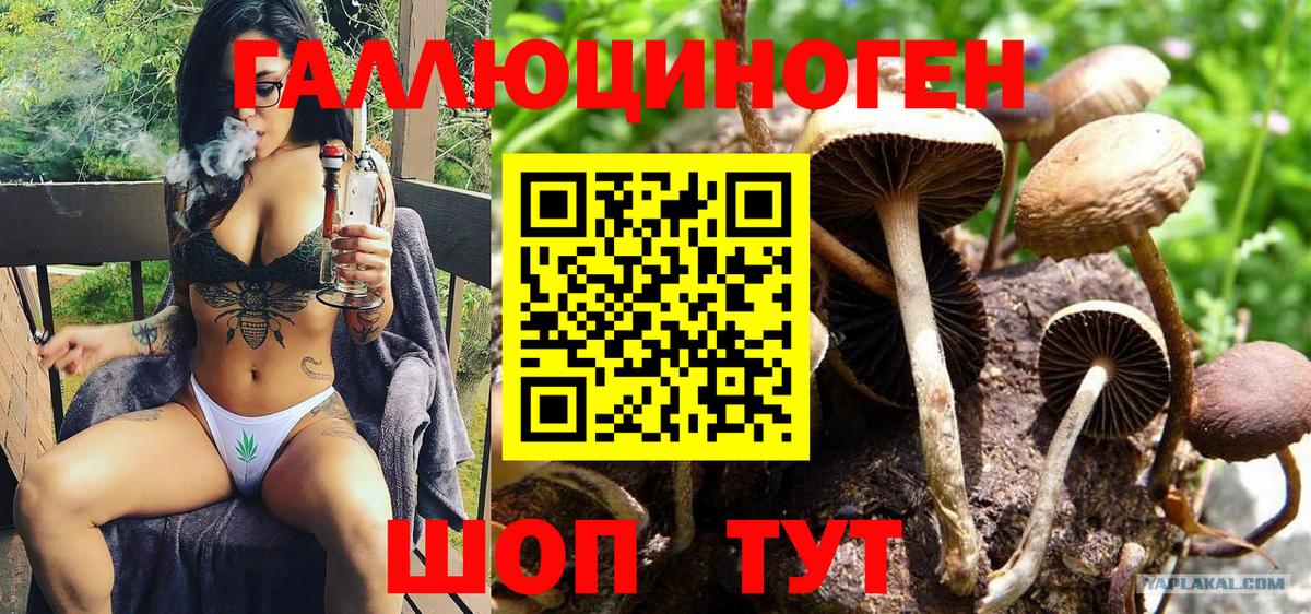 Галлюциногенные грибы мухоморы Ростов Великий